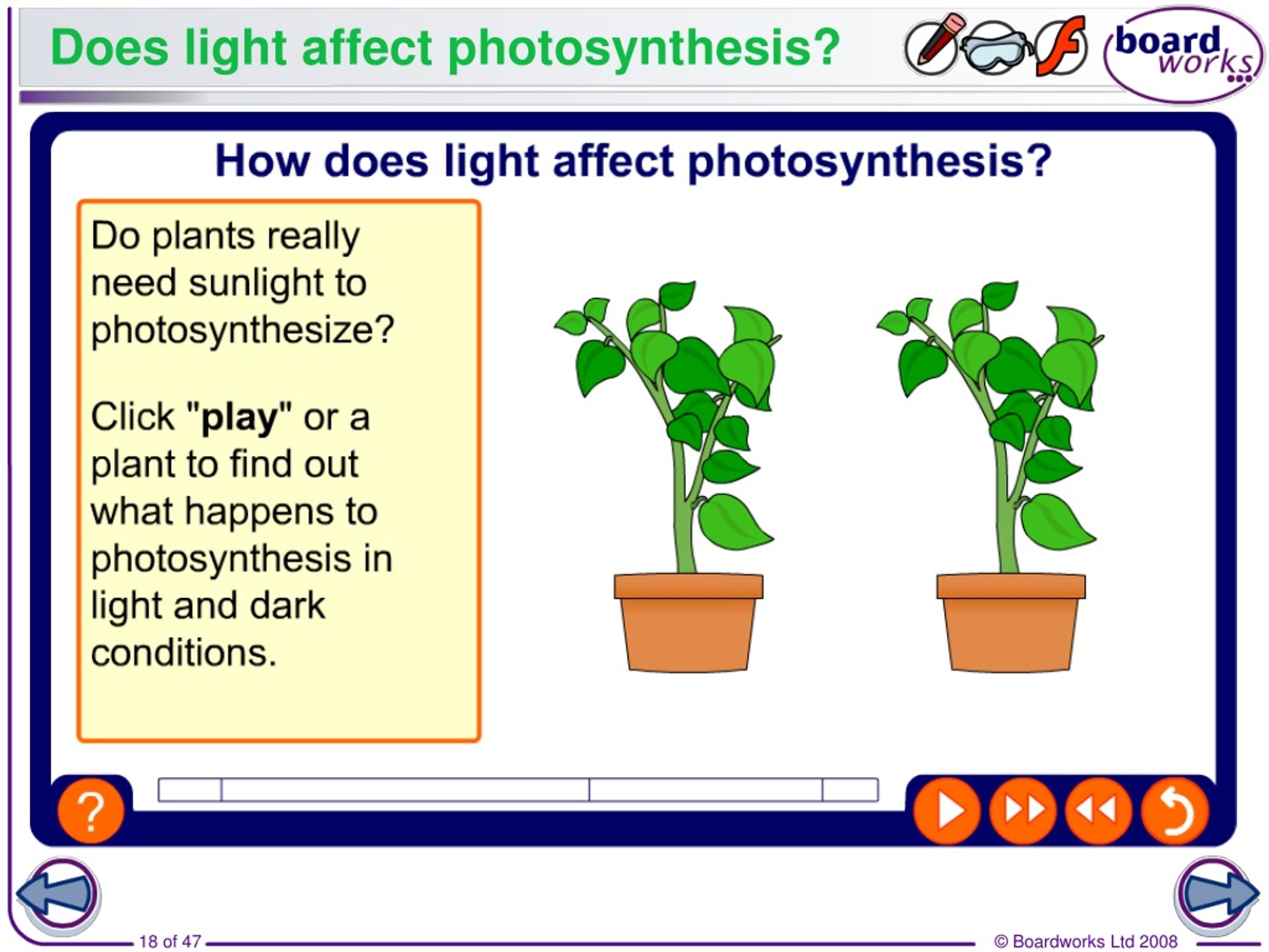 PPT Plants and photosynthesis PowerPoint Presentation, free download