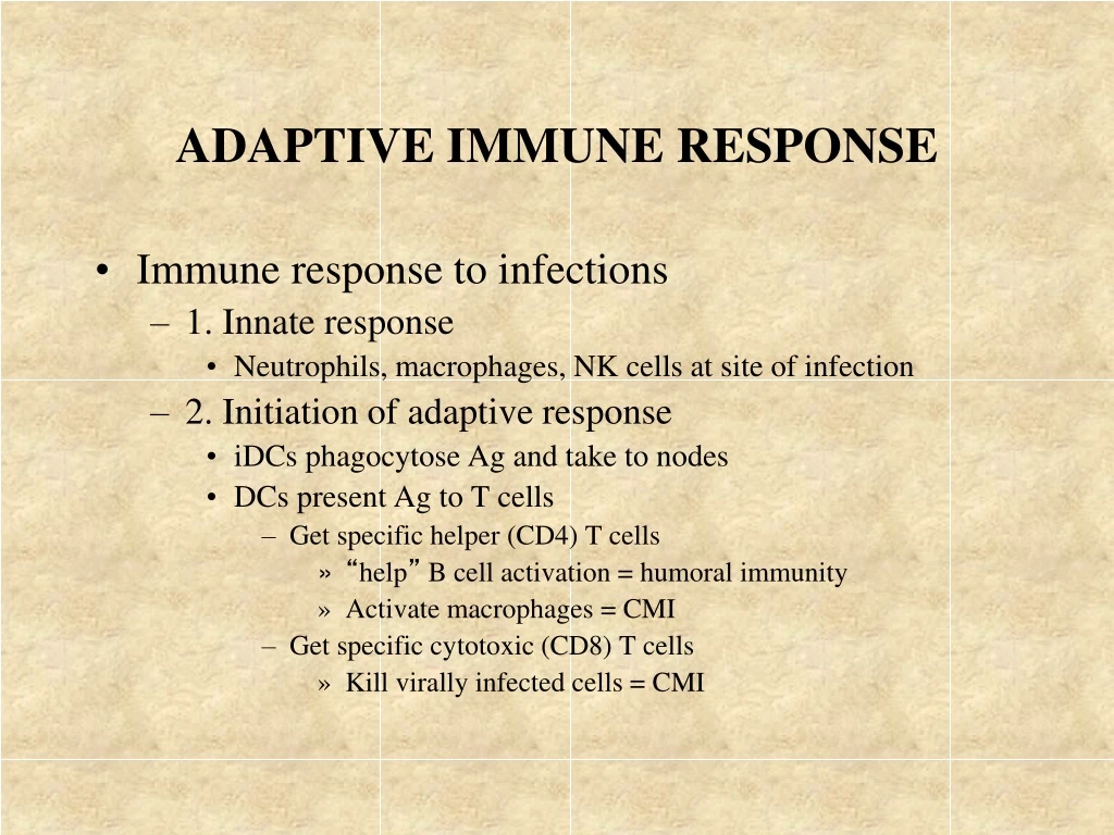 Ppt Adaptive Immune Response Powerpoint Presentation Free Download