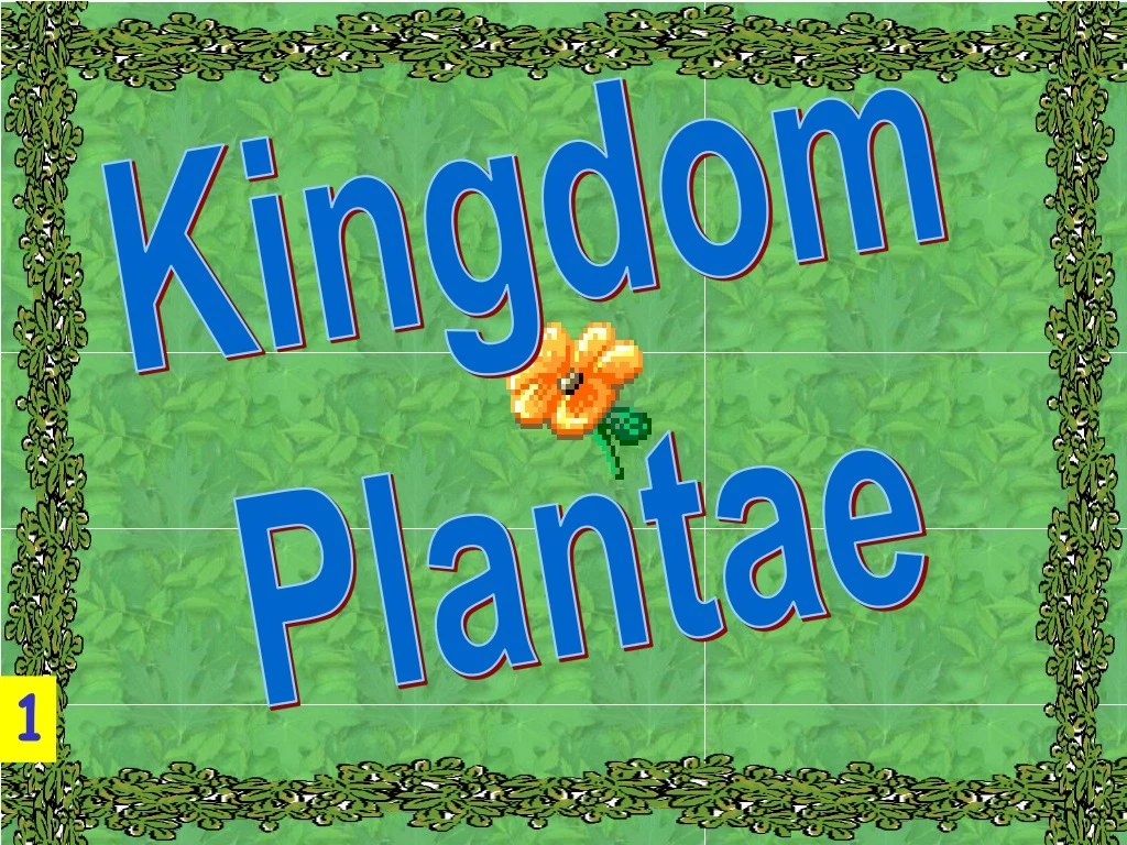 PPT - Kingdom Plantae PowerPoint Presentation, Free Download - ID:9208765