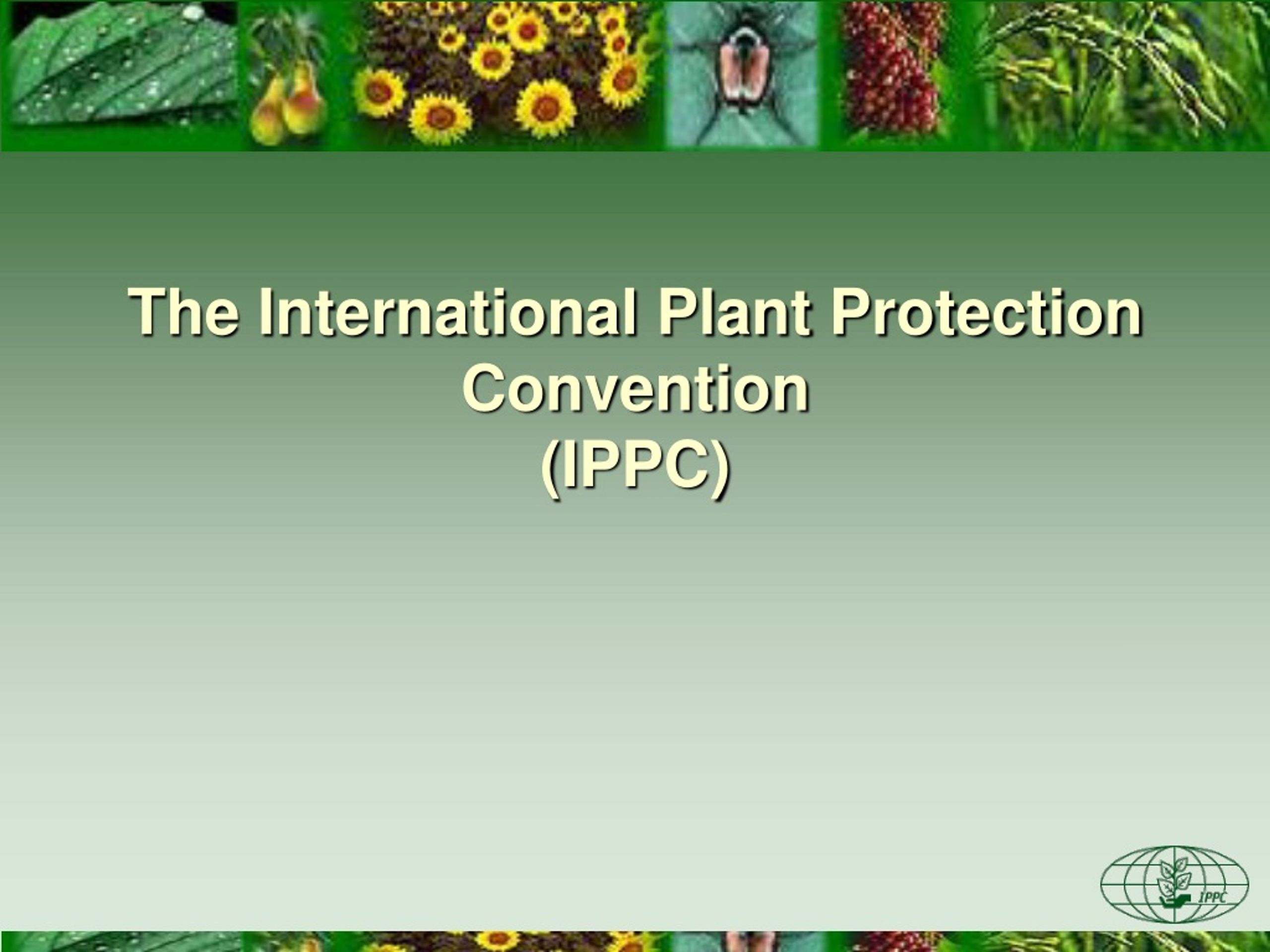 PPT The International Plant Protection Convention (IPPC) PowerPoint