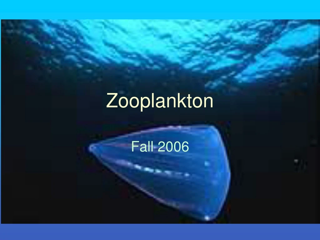 zooplankton powerpoint presentation