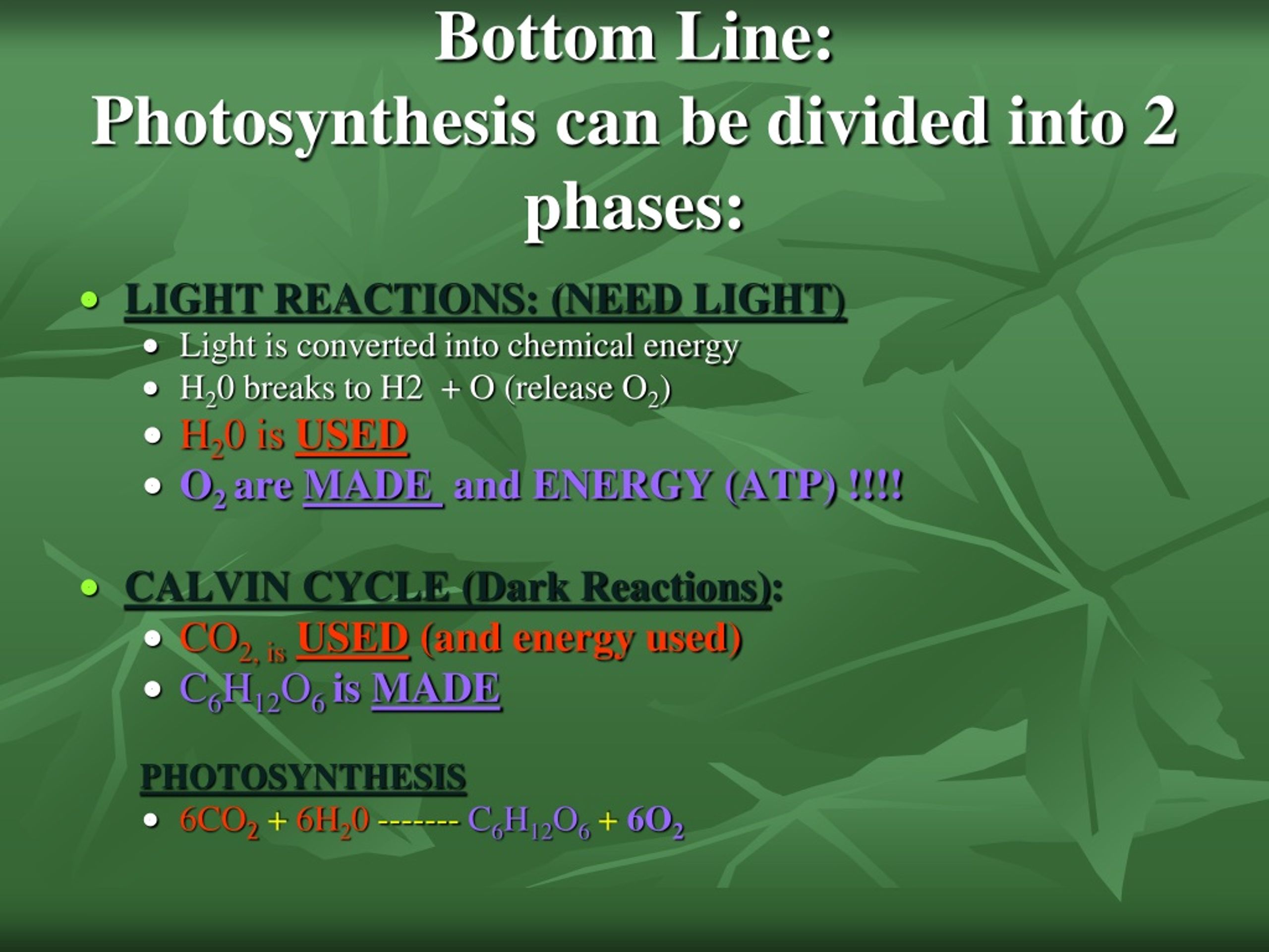 PPT - PHOTOSYNTHESIS PowerPoint Presentation, free download - ID:9212424