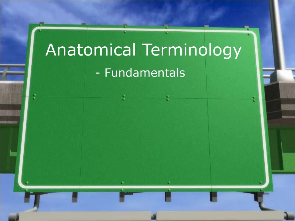 anatomical terminology n.