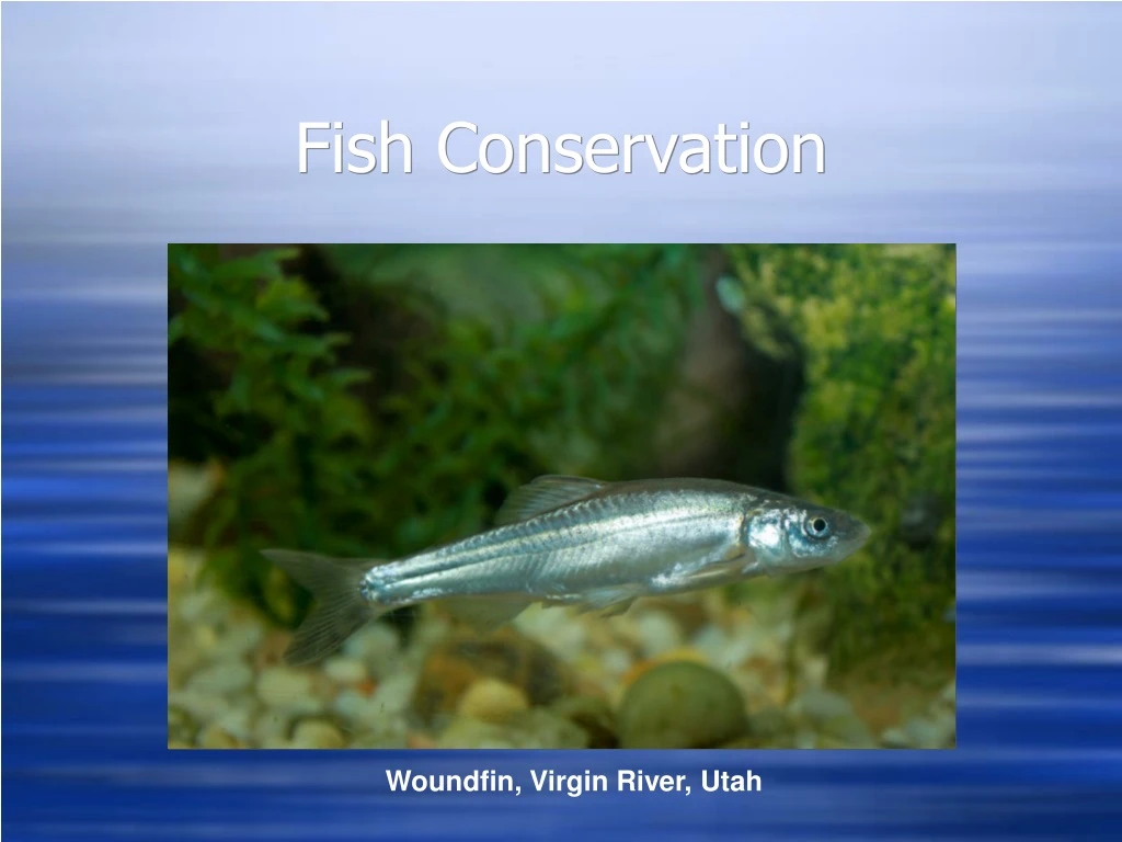 fish conservation n.