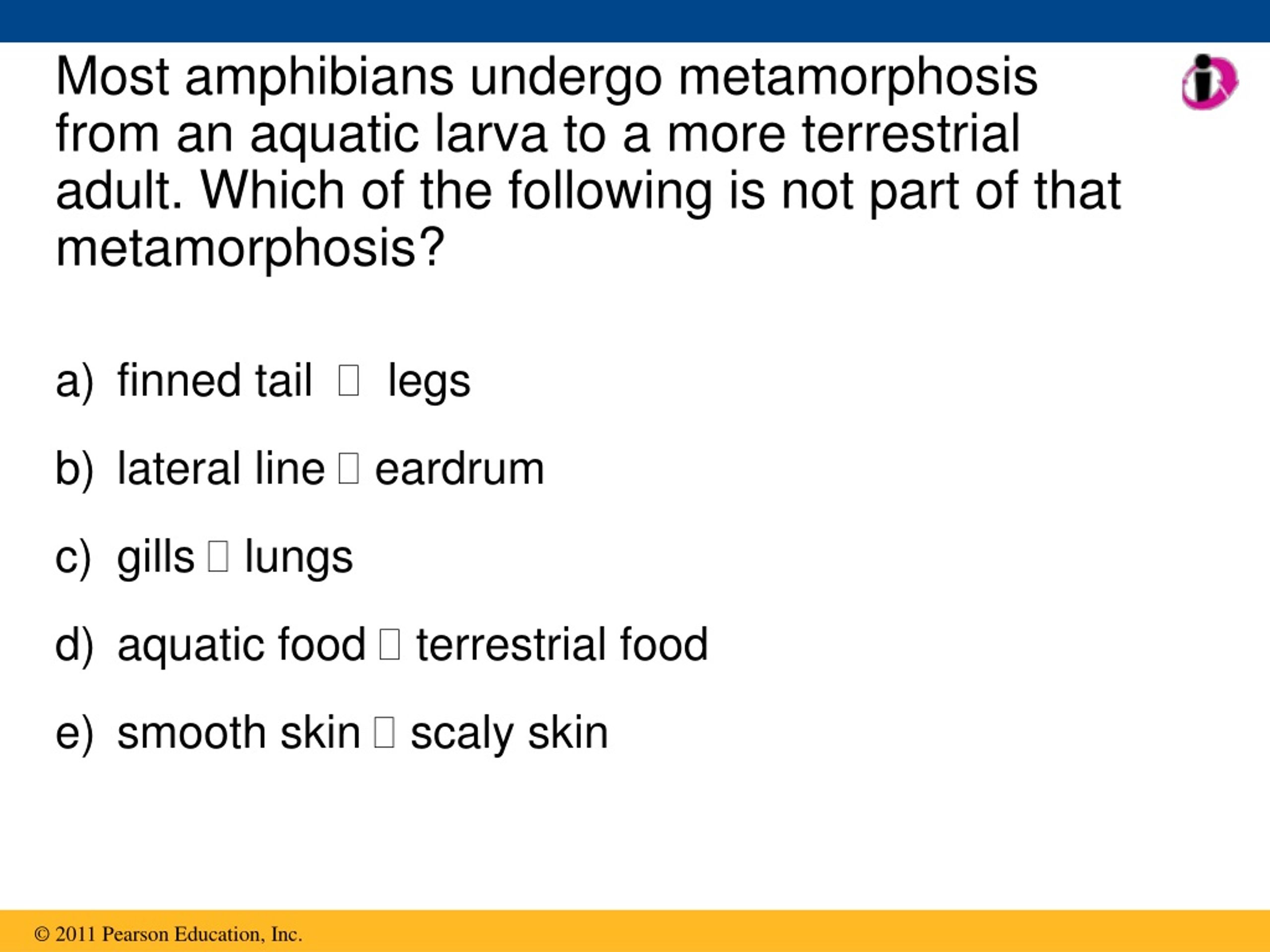 PPT - The Origin and Evolution of Vertebrates PowerPoint Presentation