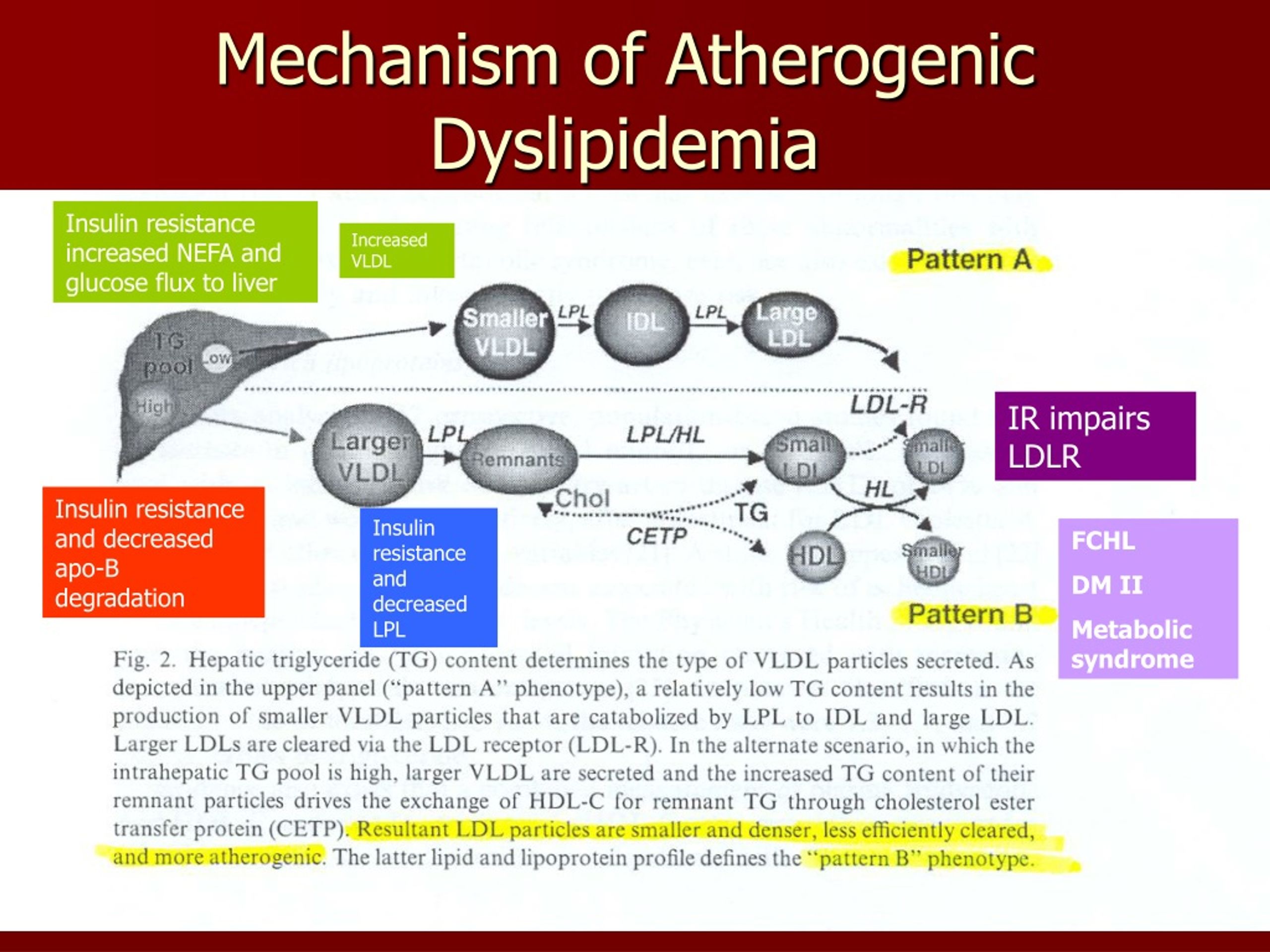Ppt Approach To Dyslipidemia Powerpoint Presentation Free Download Id9214944 1496