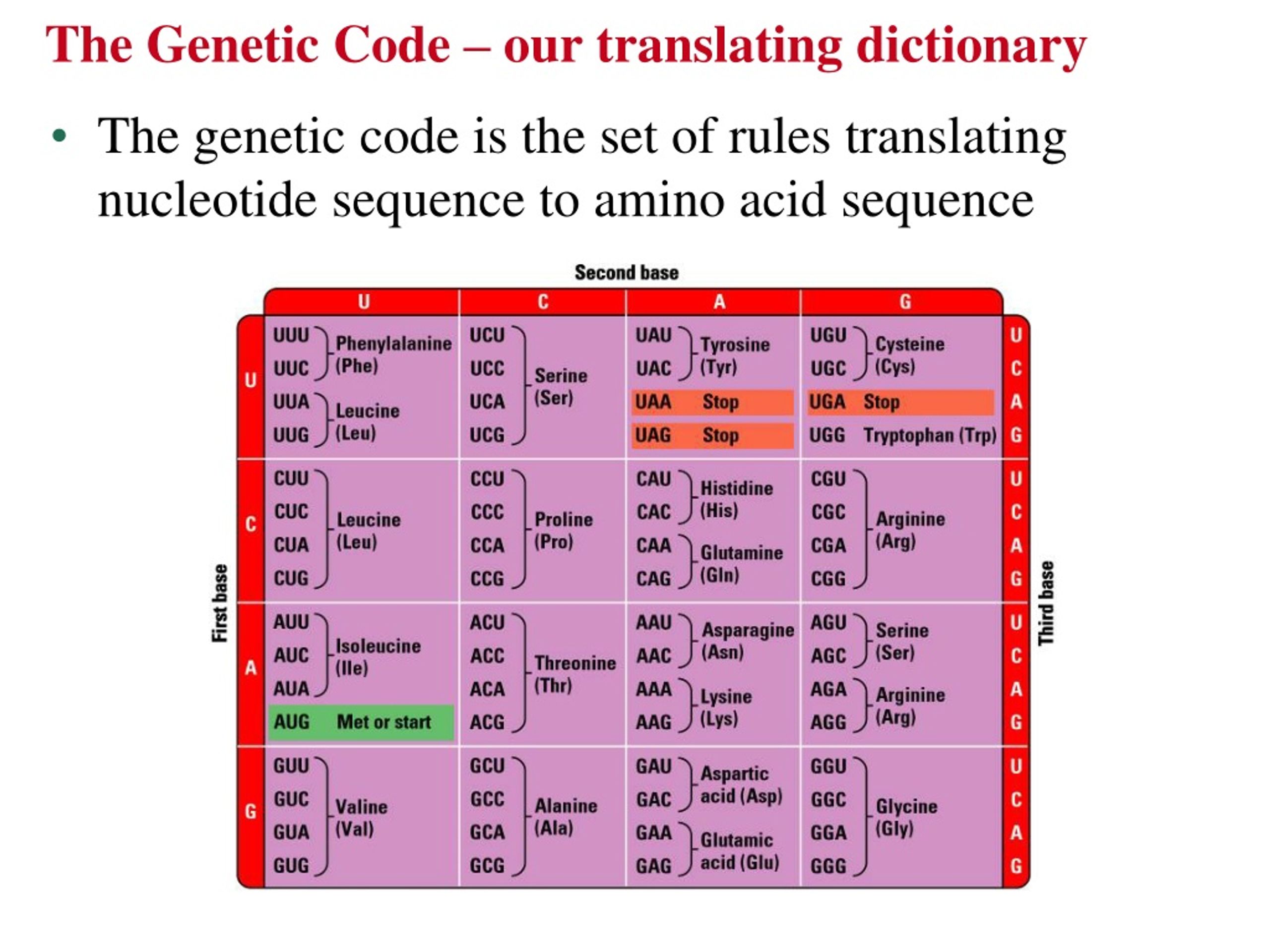 Coding properties. Genetic code. Genetic code properties. Genetic code Table. Nucleotide sequence.