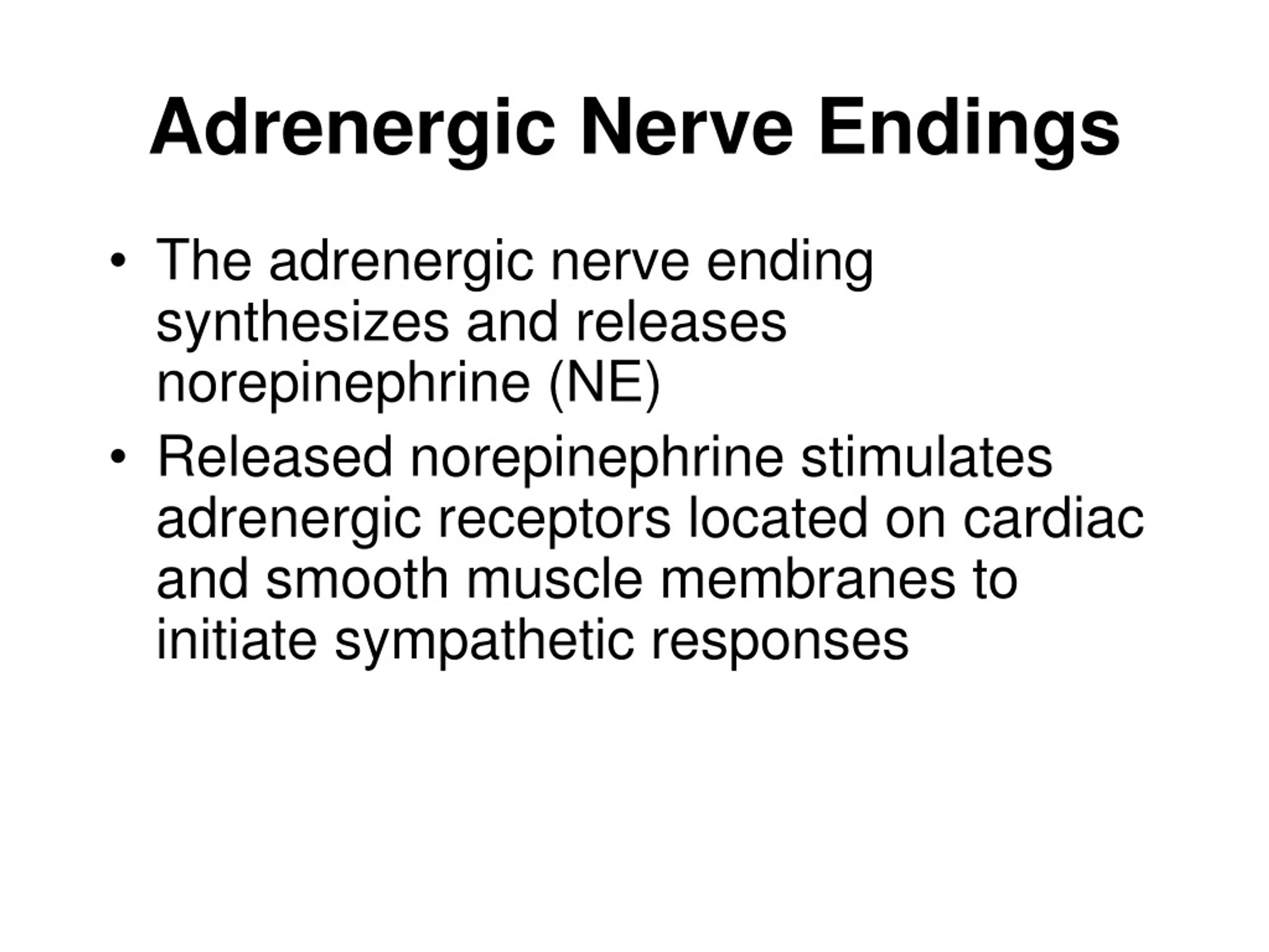 PPT - Drugs Affecting Peripheral Nervous System #2 PowerPoint ...