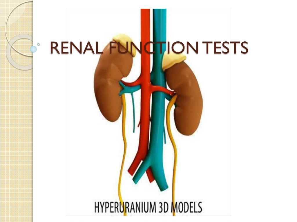 renal function tests n.