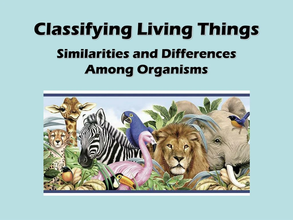 PPT - Classifying Living Things PowerPoint Presentation, free download ...