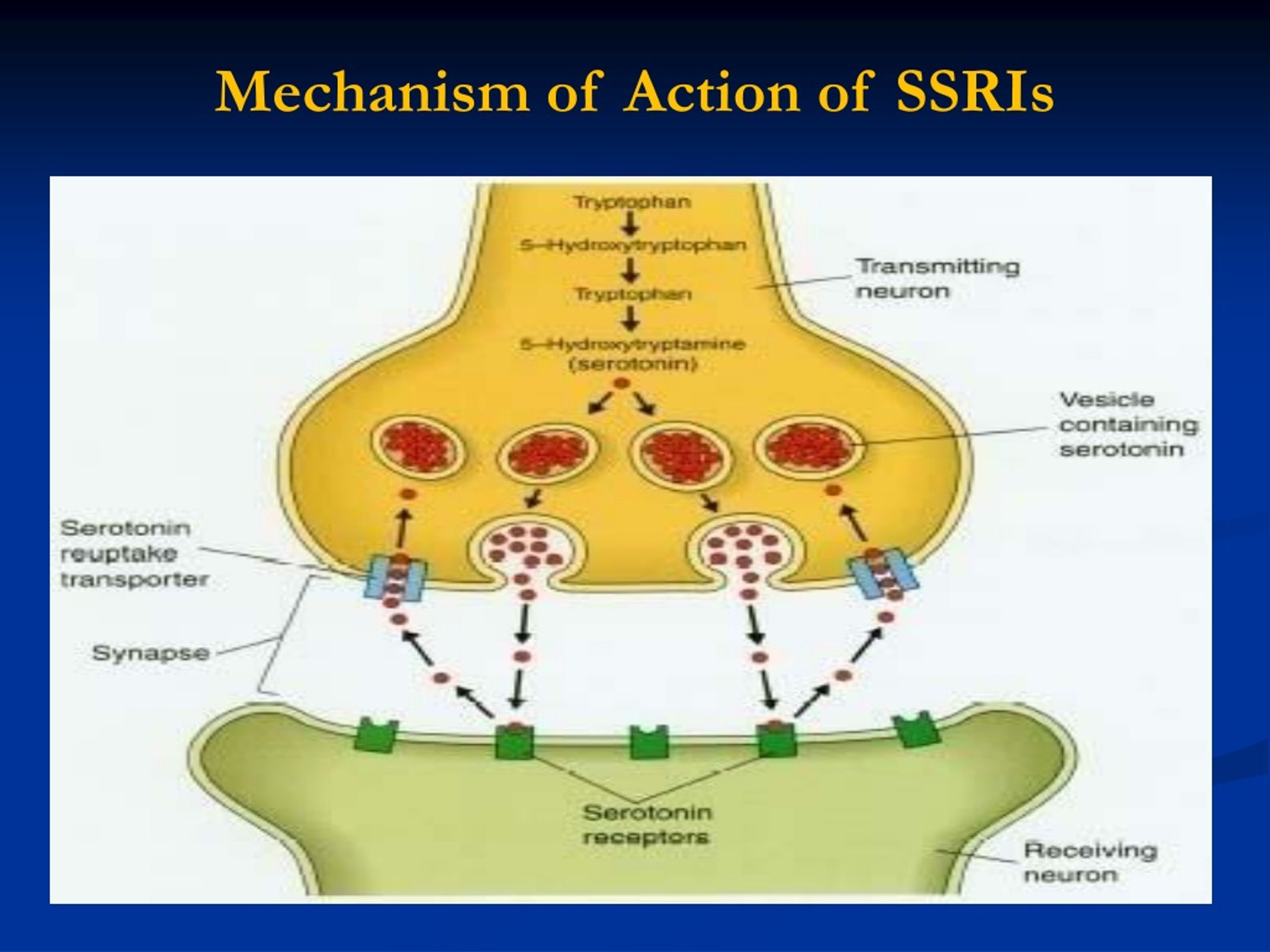Mechanism of action. SSRIS mechanism of Action. Оланзапин механизм действия. Механизм действия оланзапина.