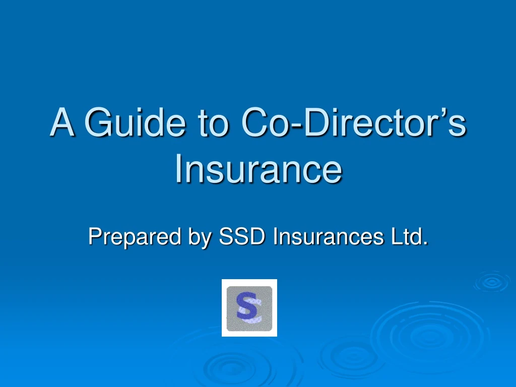 a guide to co director s insurance n.