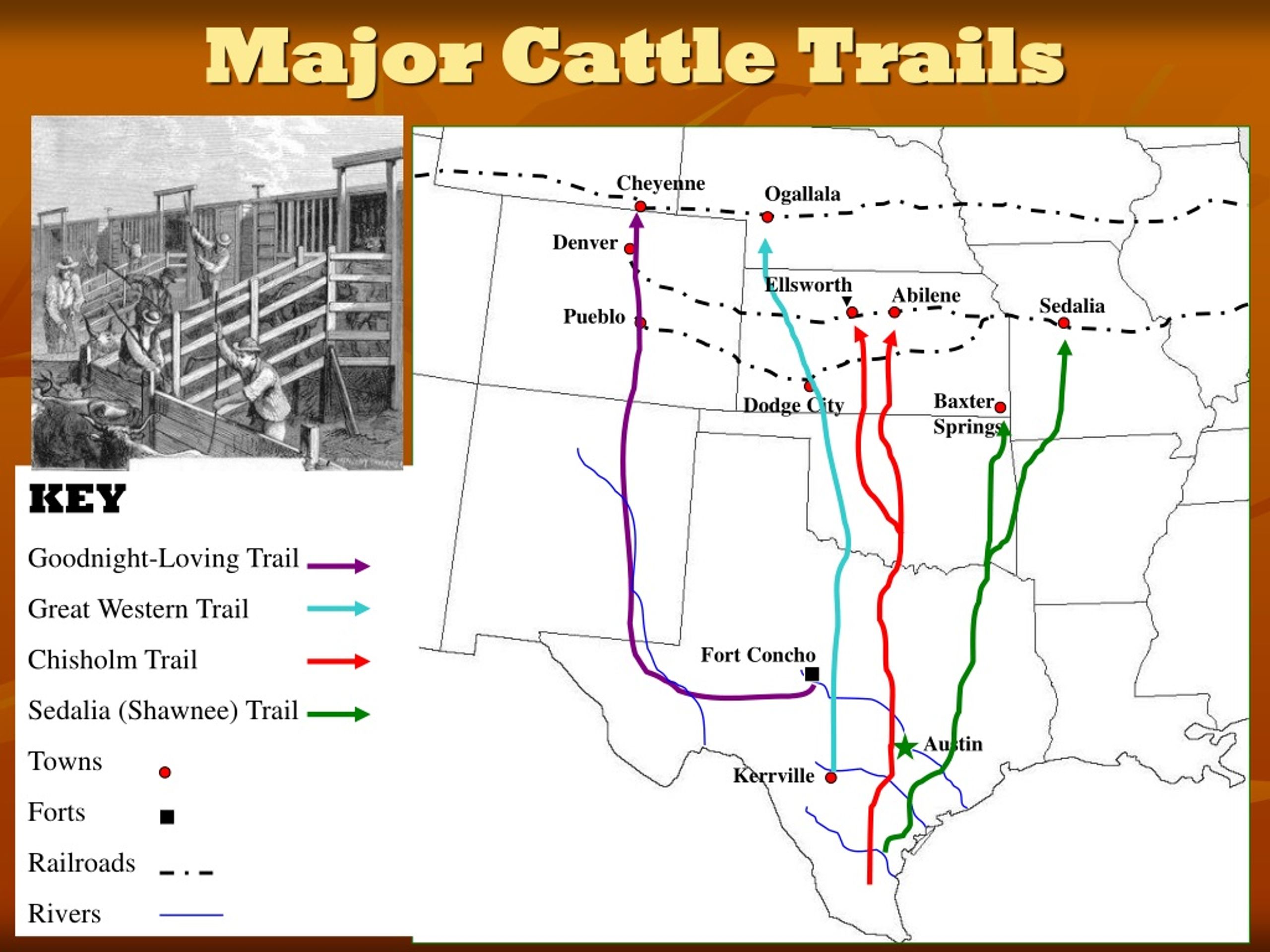 PPT Cattle Drives A Visual History PowerPoint Presentation Free   Major Cattle Trails L 