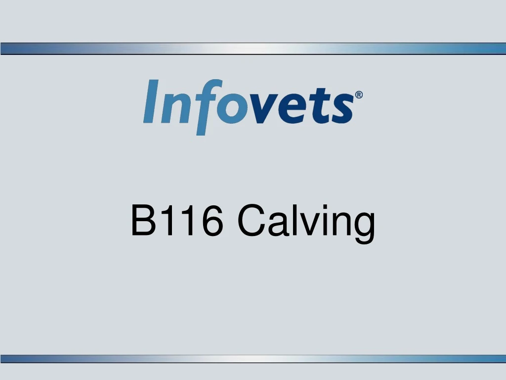 b116 calving n.