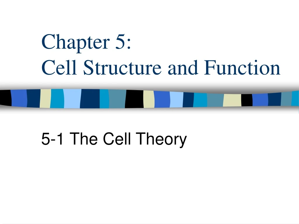 Ppt Chapter 5 Cell Structure And Function Powerpoint Presentation Free Download Id9224481 5337