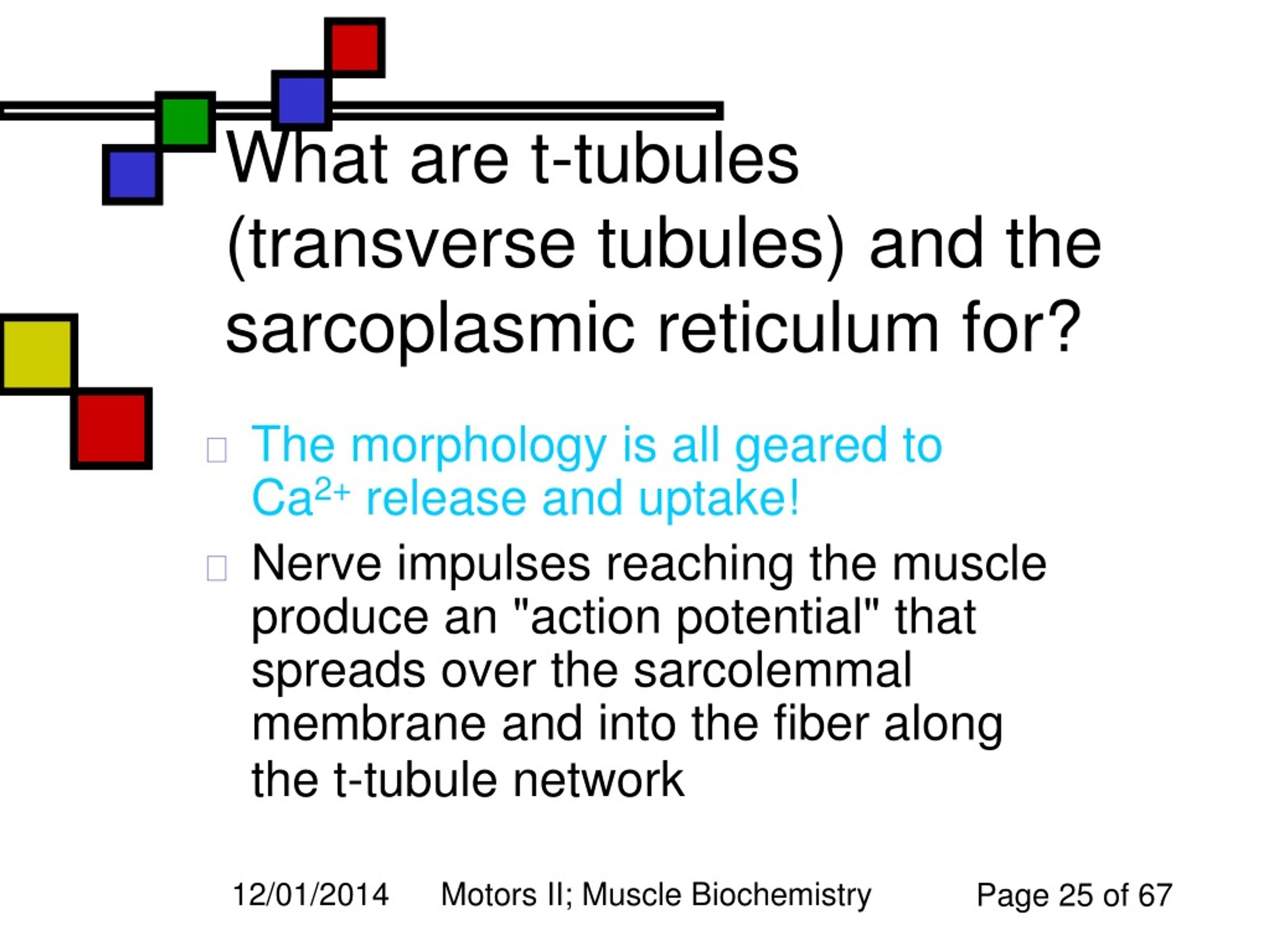 Ppt Motors Ii Muscle Contraction Powerpoint Presentation Free Download Id9224994