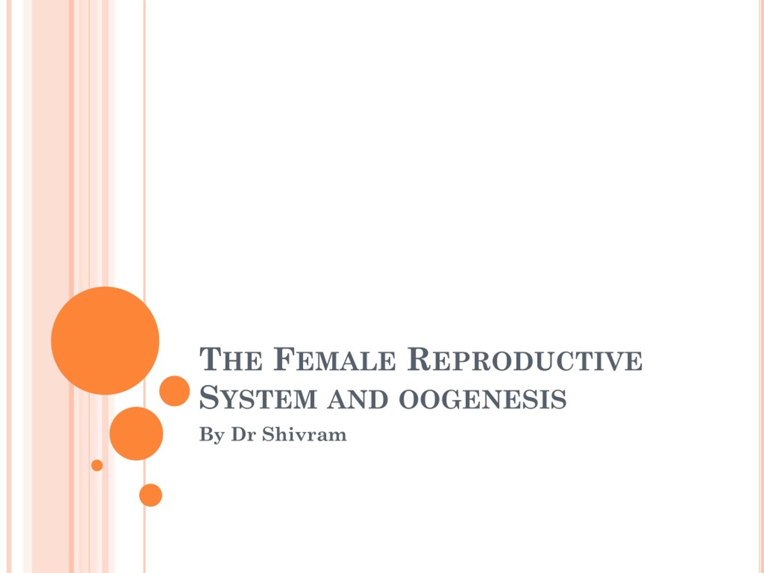 Ppt The Female Reproductive System And Oogenesis Powerpoint