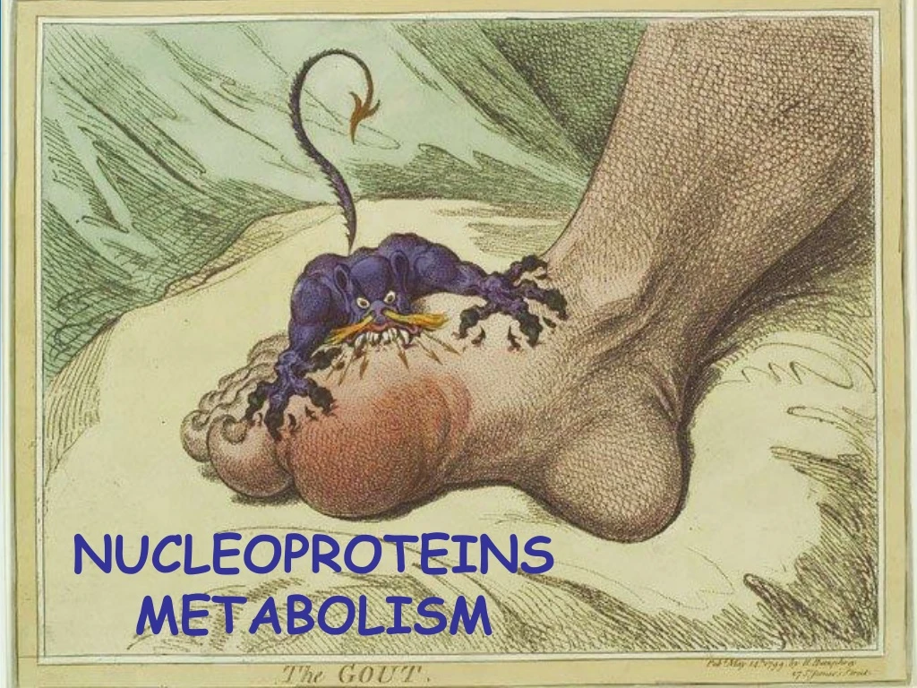 nucleoproteins metabolism n.