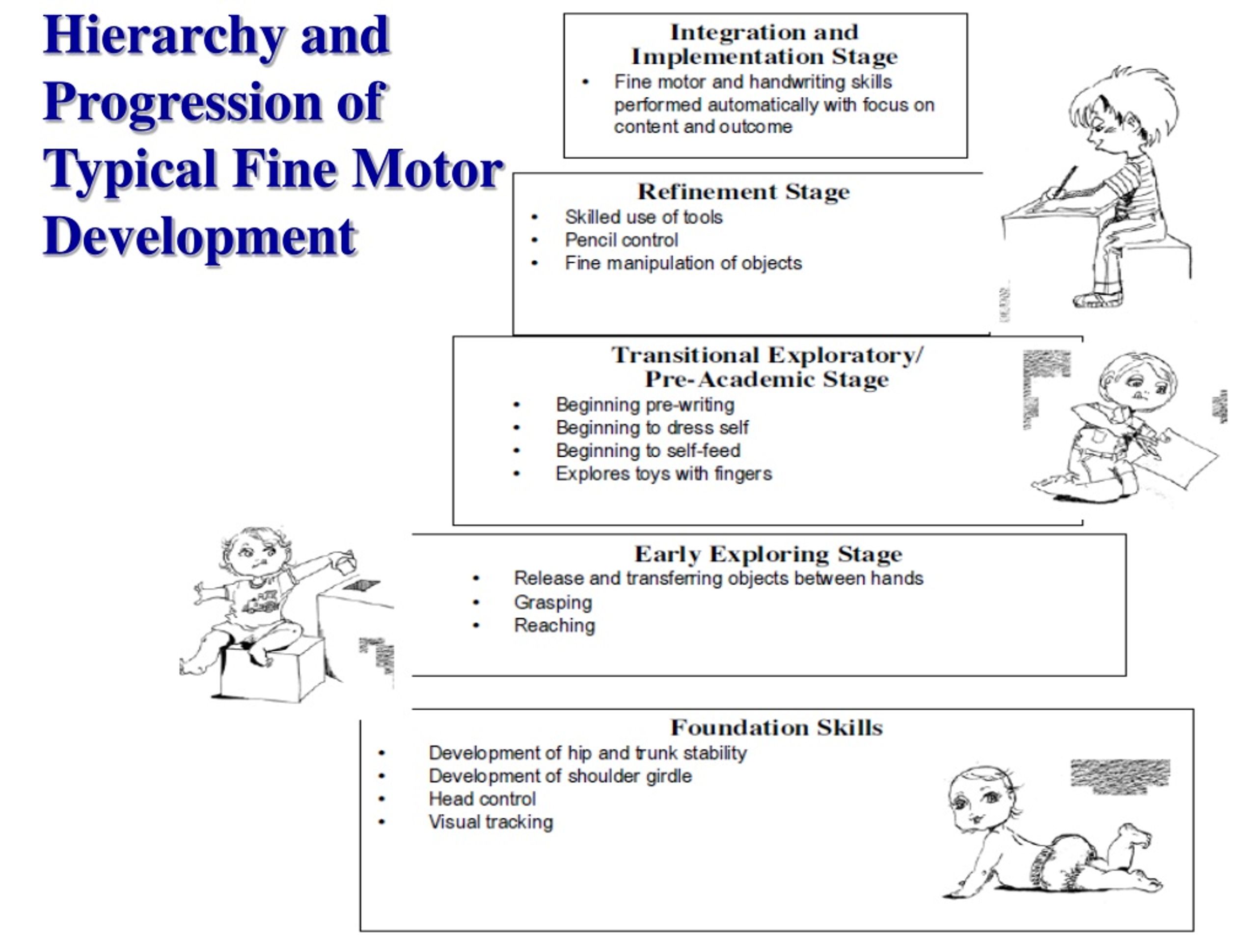 PPT - Physical and Motor Development PowerPoint Presentation, free ...