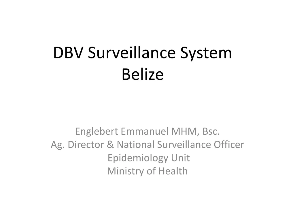 dbv surveillance system belize n.