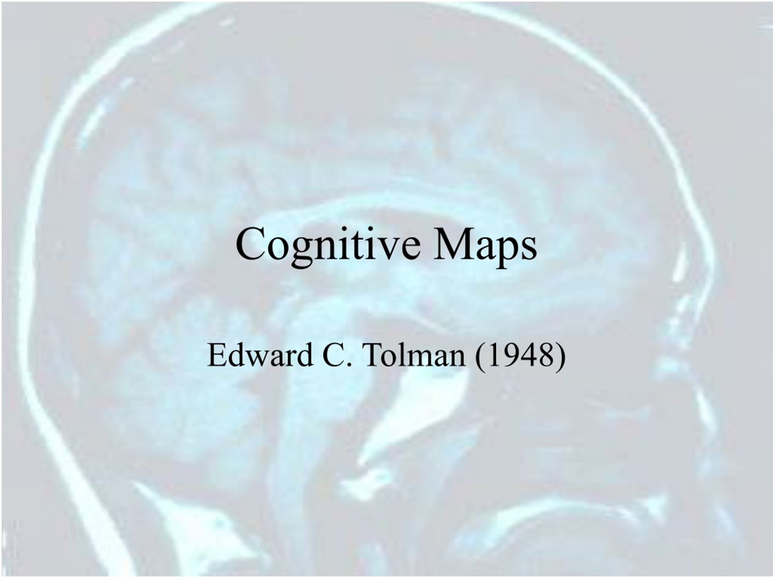 maze edward map c tolman cogntive