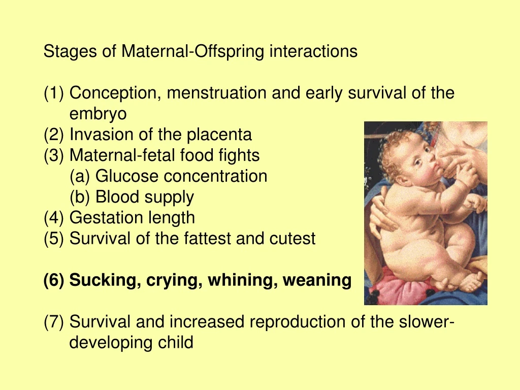 Ppt Stages Of Maternal Offspring Interactions Powerpoint Presentation Id 9229378