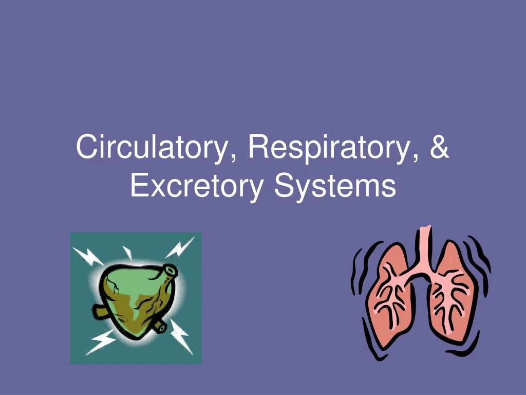 PPT Circulatory, Respiratory, & Excretory Systems PowerPoint