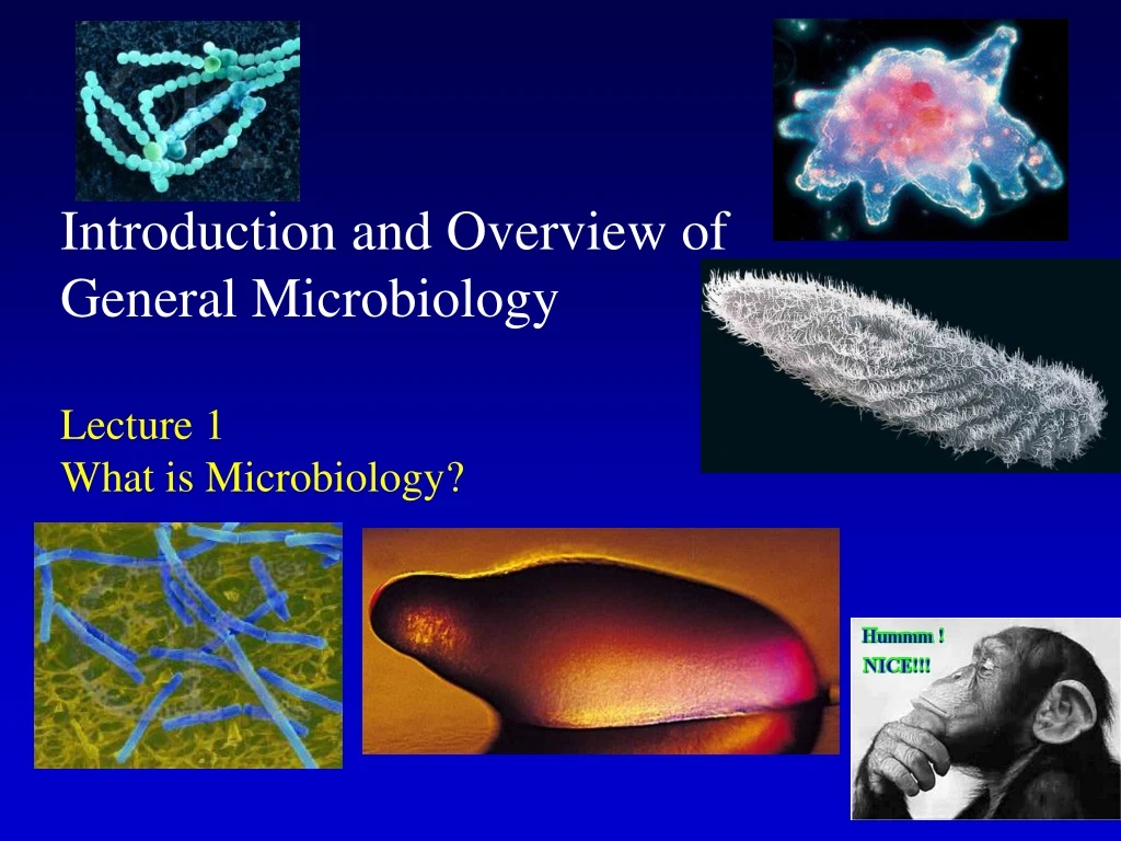 presentation on microbiology