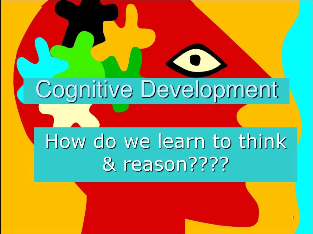 cognitive development n.