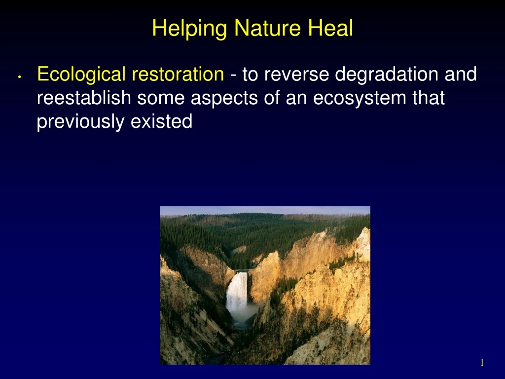 PPT - Helping Nature Heal PowerPoint Presentation, Free Download - ID ...