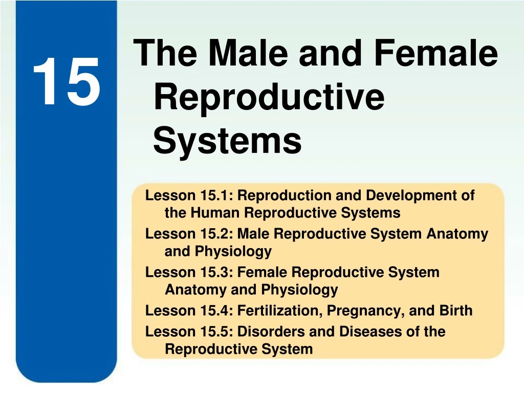 Ppt Lesson 151 Reproduction And Development Of The Human Reproductive Systems Powerpoint 0841