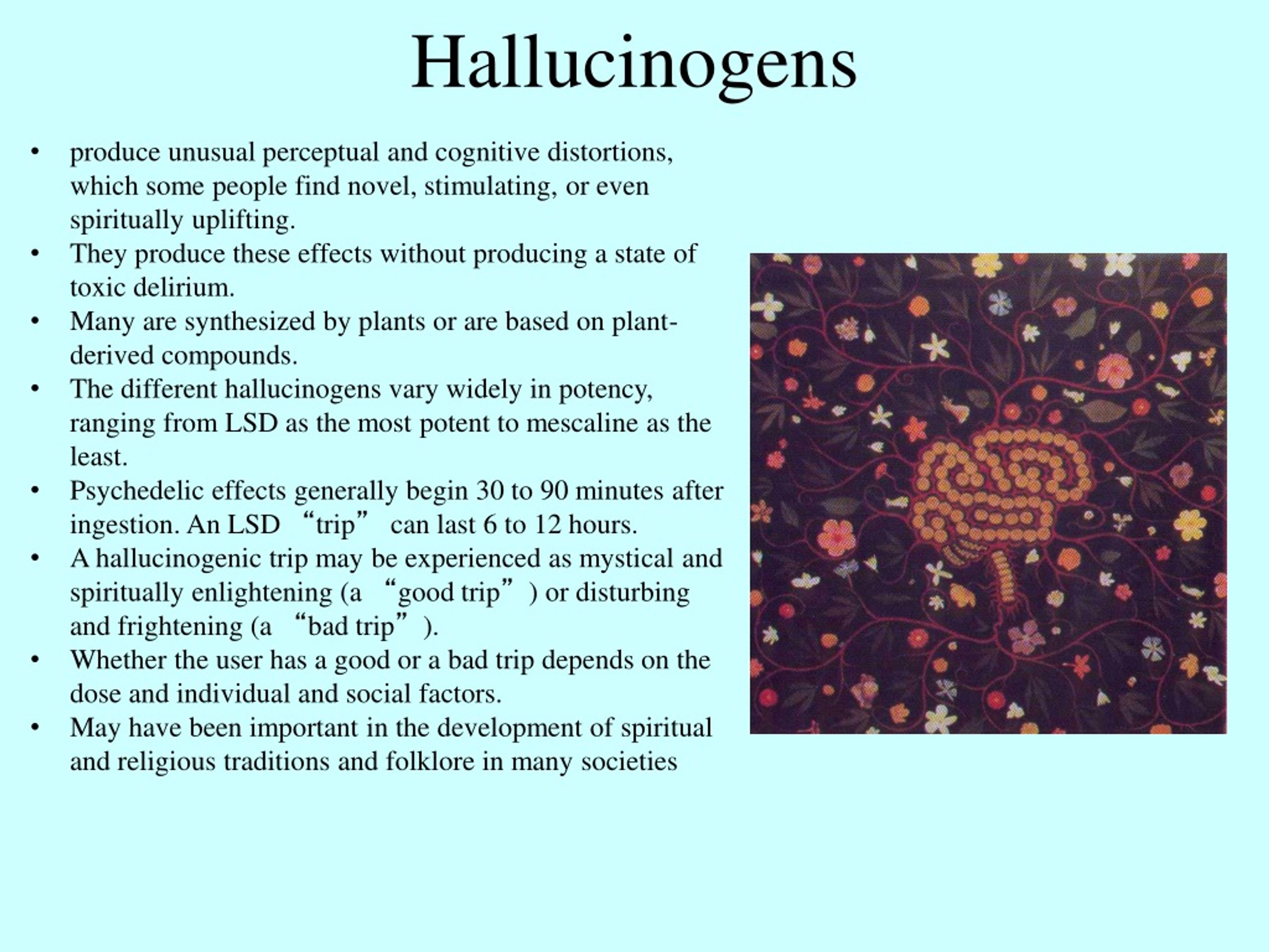 PPT - Hallucinogens PowerPoint Presentation, Free Download - ID:9235372