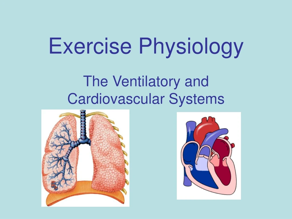 PPT - Exercise Physiology PowerPoint Presentation, Free Download - ID ...