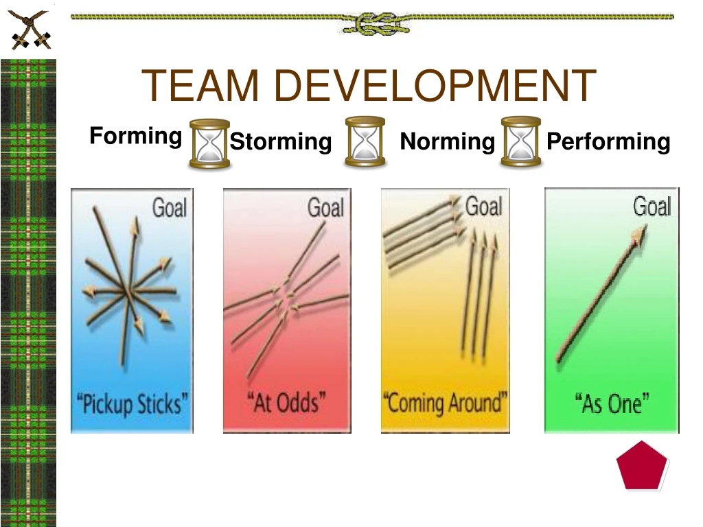 team development n.