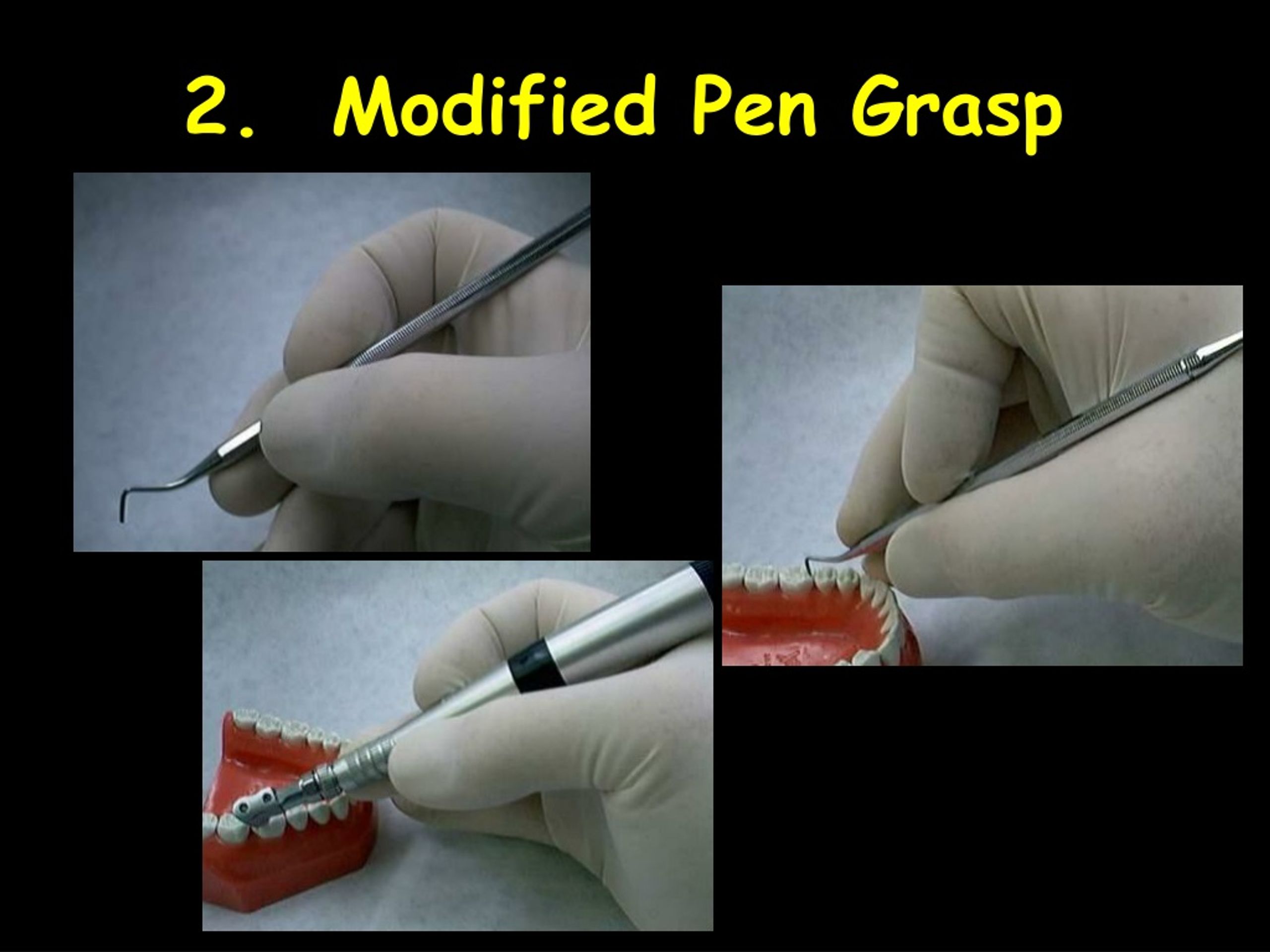PPT Introduction To Dental Anatomy And Tooth Morphology Goals 