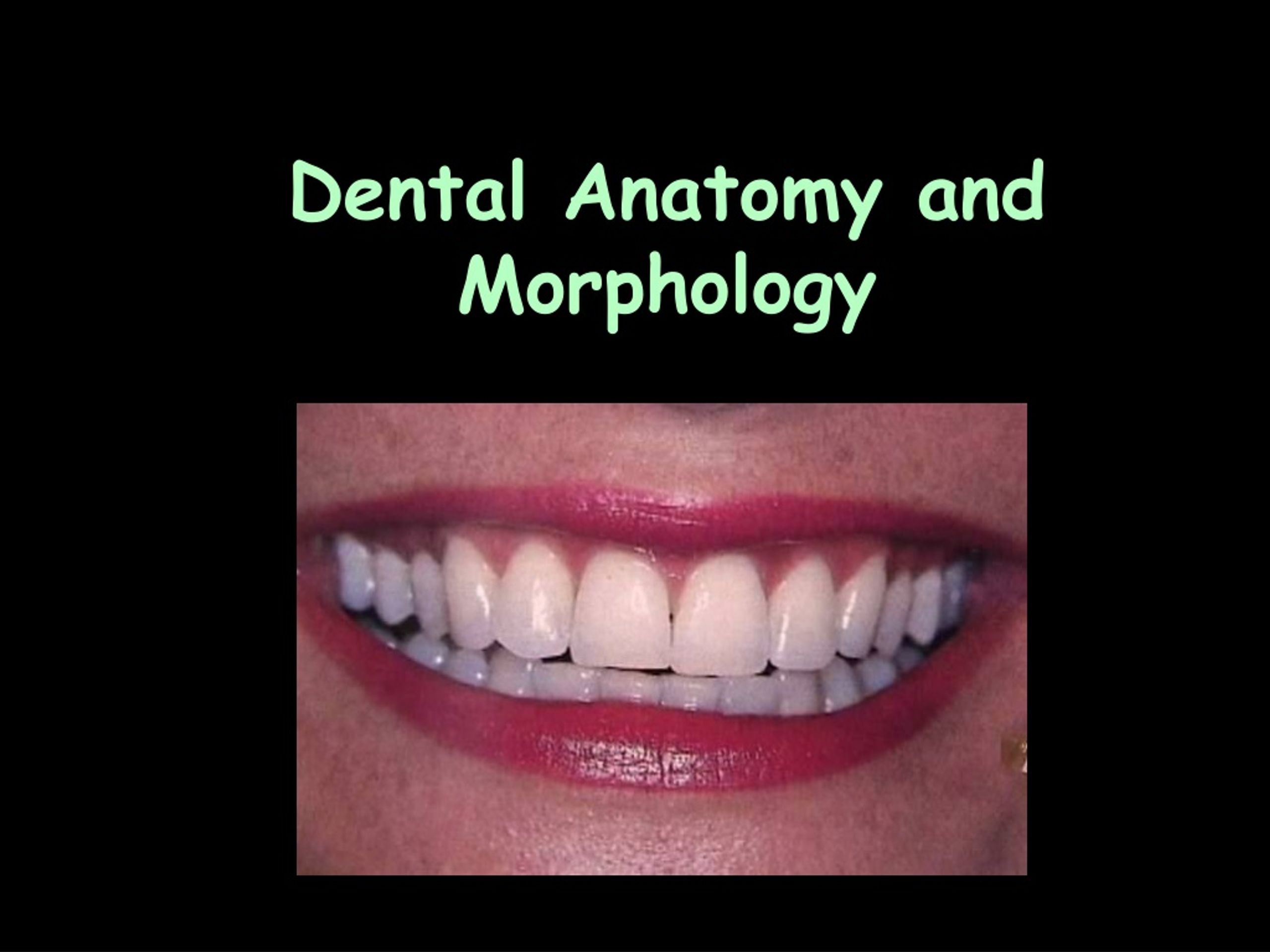 PPT to Dental Anatomy and Tooth Morphology RESD 701/701L PowerPoint Presentation ID