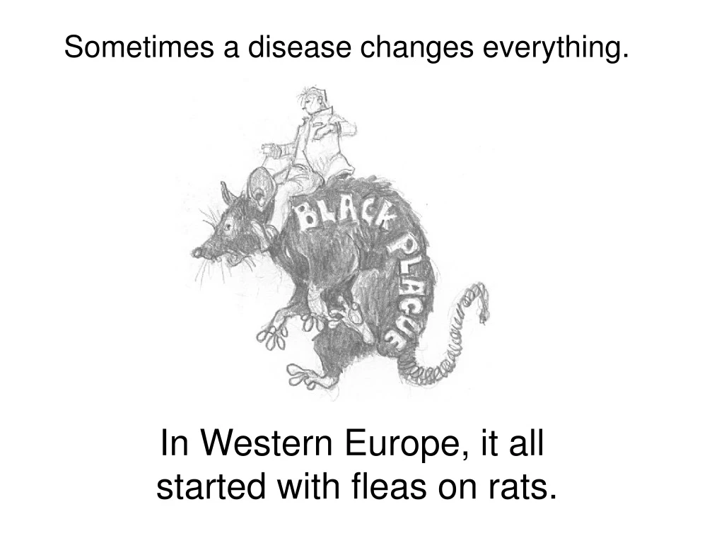 sometimes a disease changes everything n.