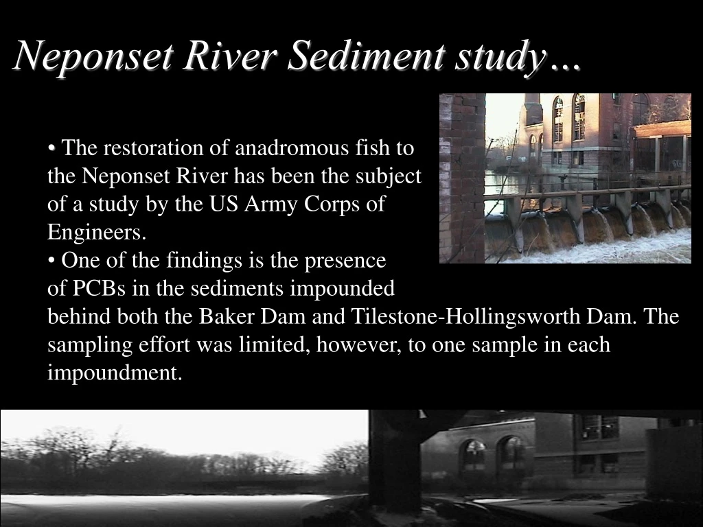 neponset river sediment study n.