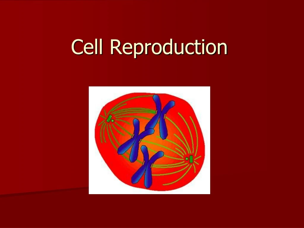 Ppt Cell Reproduction Powerpoint Presentation Free Download Id 9244899