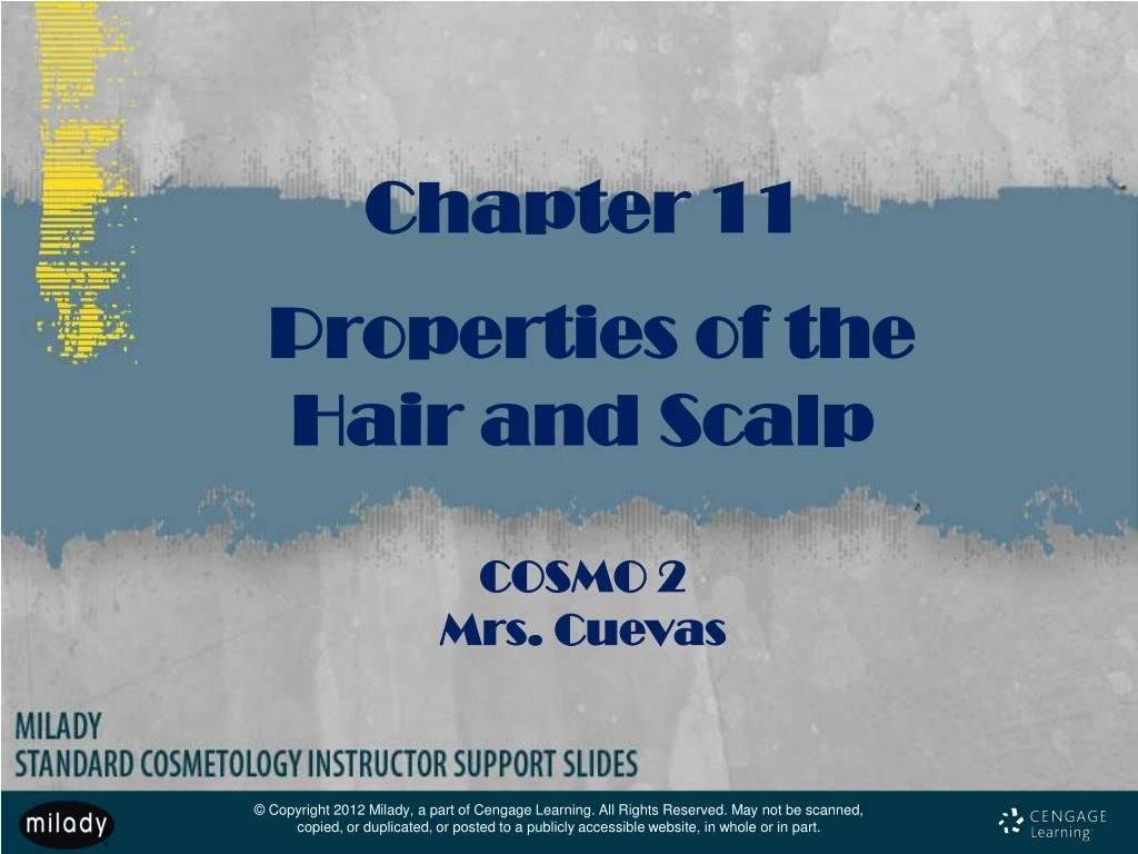 PPT - Chapter 11 Properties Of The Hair And Scalp COSMO 2 Mrs. Cuevas ...