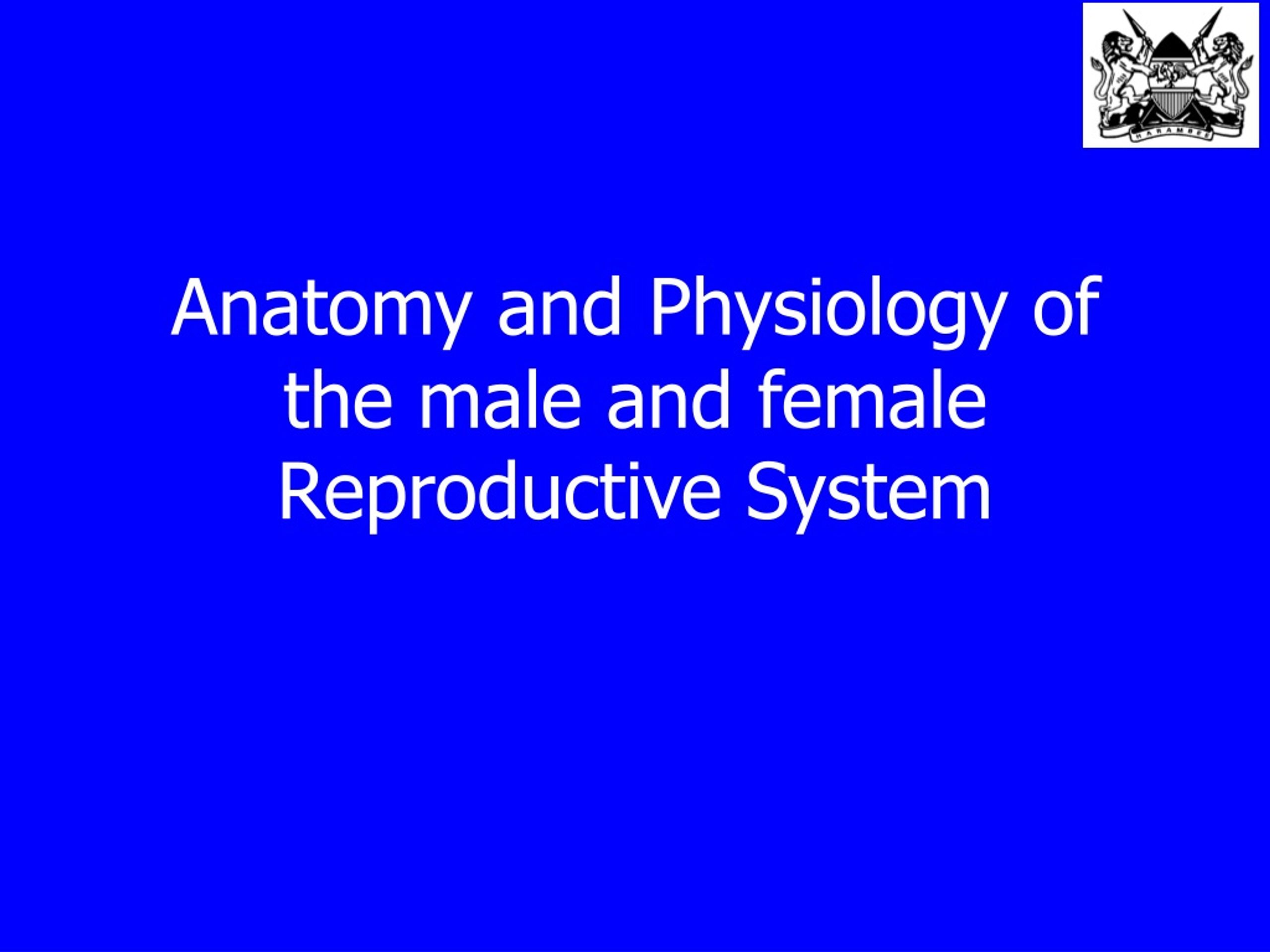 PPT - Anatomy and Physiology of the male and female Reproductive System ...