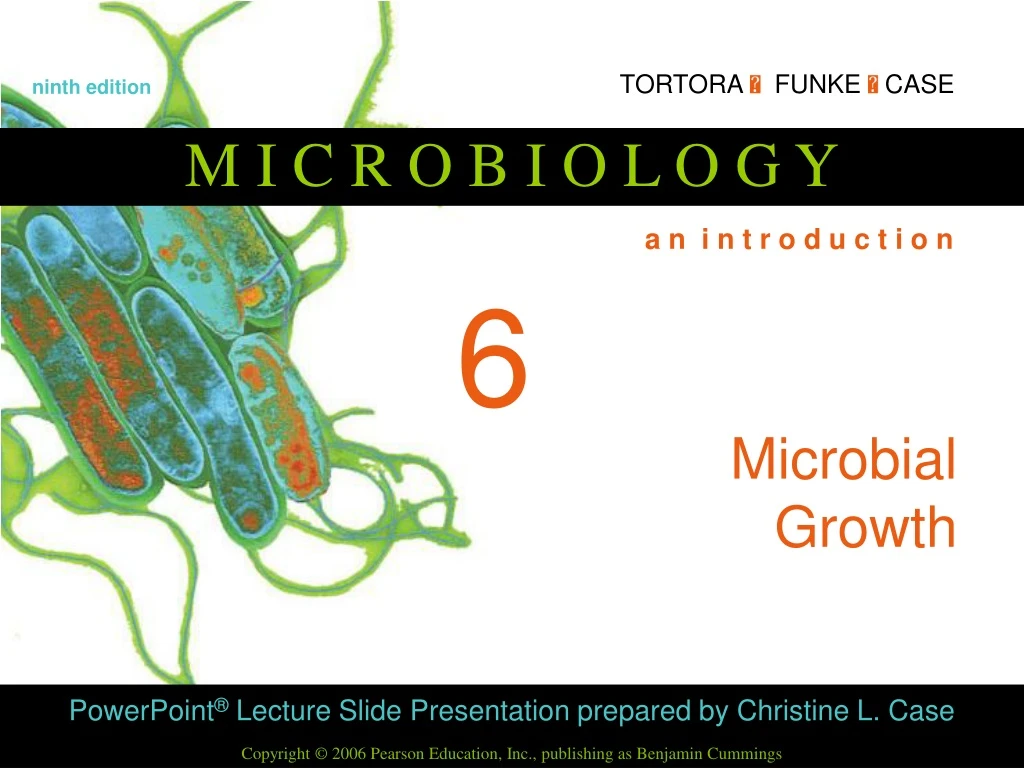 PPT - Microbial Growth PowerPoint Presentation, Free Download - ID:9248300