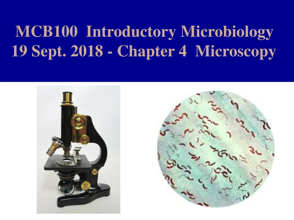 PPT - MCB100 Introductory Microbiology 19 Sept. 2018 - Chapter 4 ...