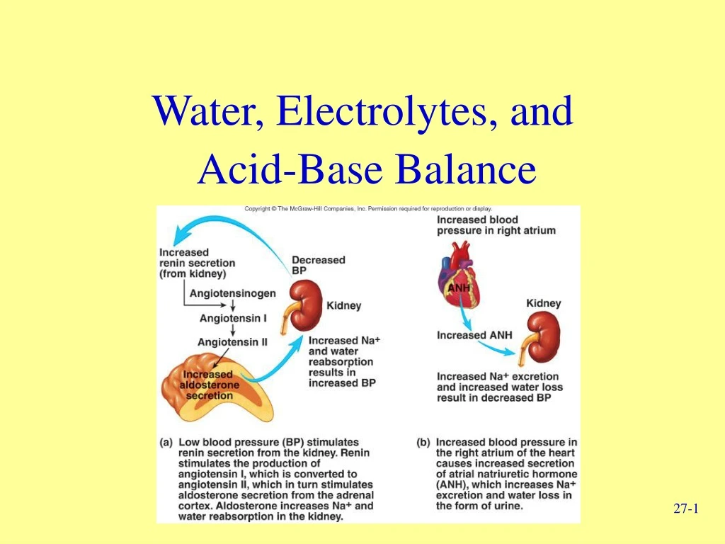 PPT - Water, Electrolytes, and Acid-Base Balance PowerPoint ...