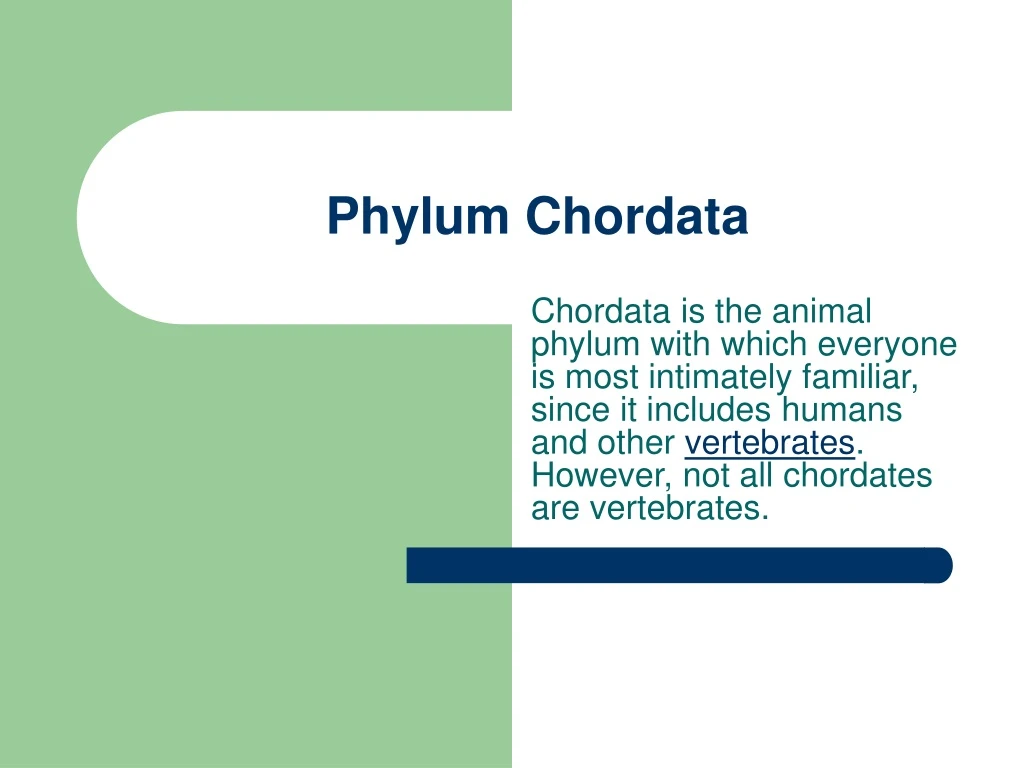 Ppt Phylum Chordata Powerpoint Presentation Free Download Id9250965 7735