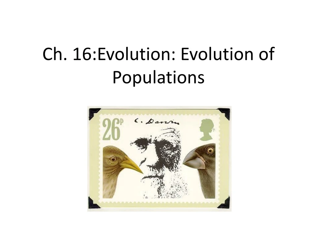 Ppt Ch 16evolution Evolution Of Populations Powerpoint Presentation Id9256197