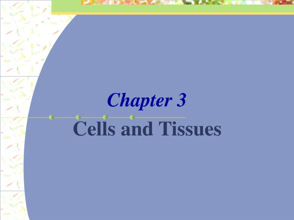 Ppt Chapter 3 Cells And Tissues Powerpoint Presentation Free