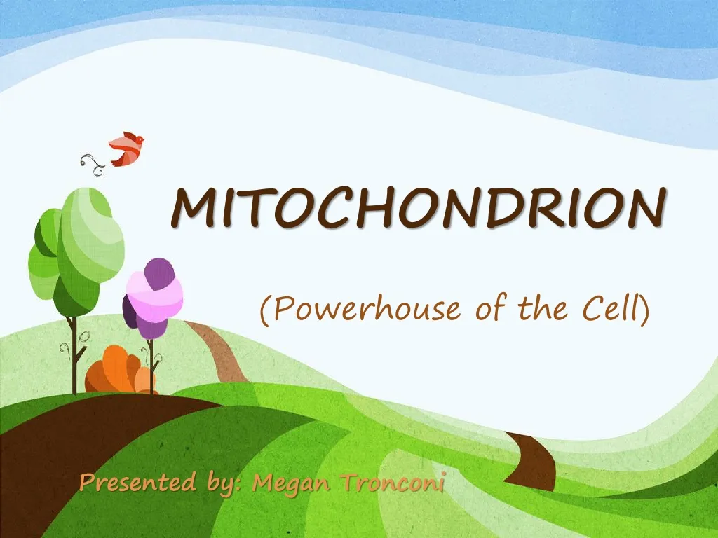 mitochondrion n.