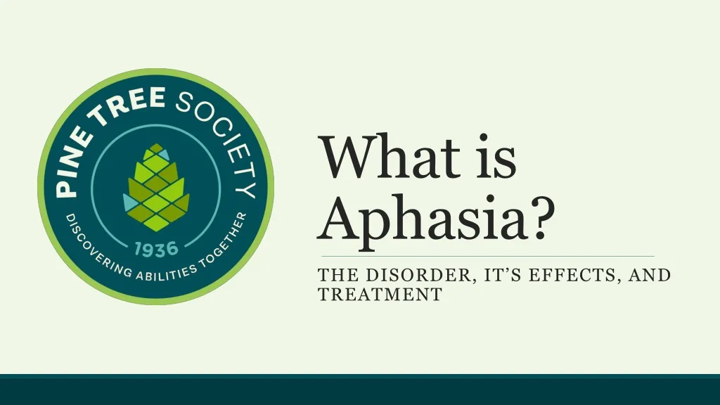 what is aphasia n.