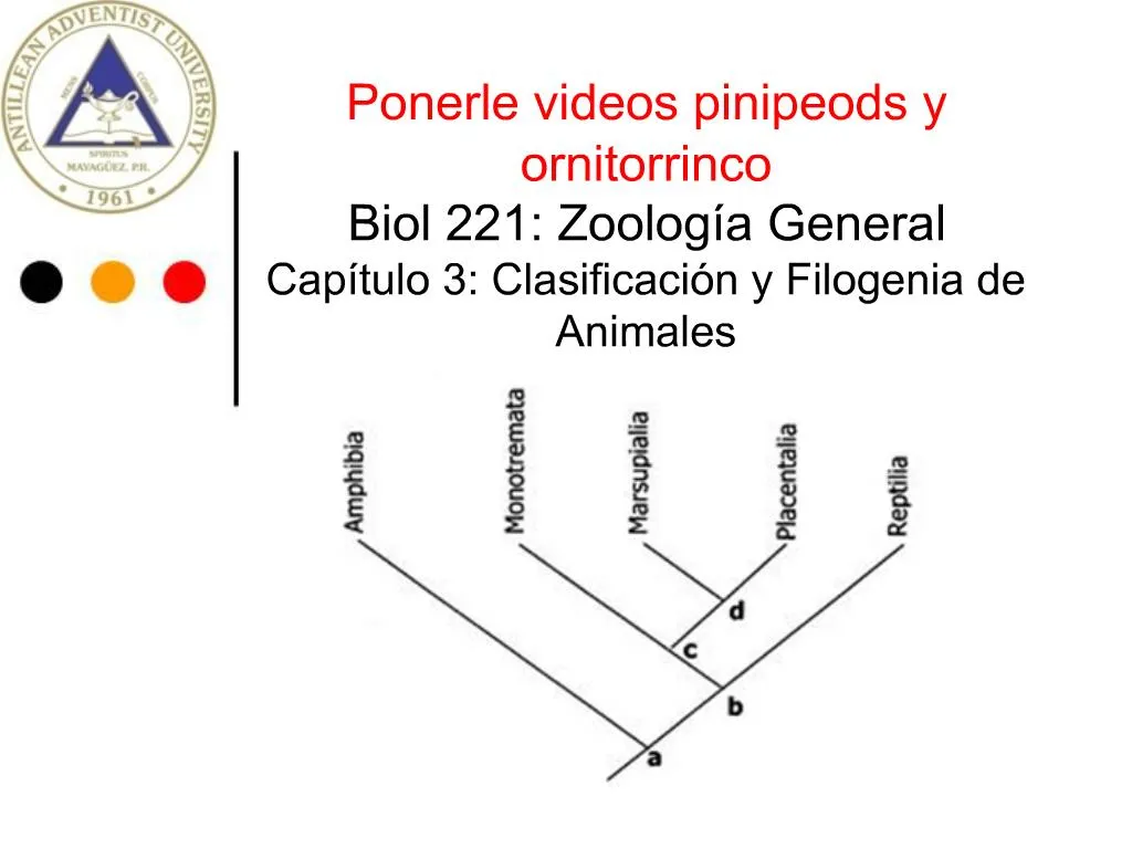 PPT - Ponerle Videos Pinipeods Y Ornitorrinco Biol 221: Zoolog A ...